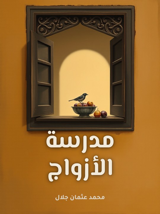 غلاف كتاب مدرسة الأزواج