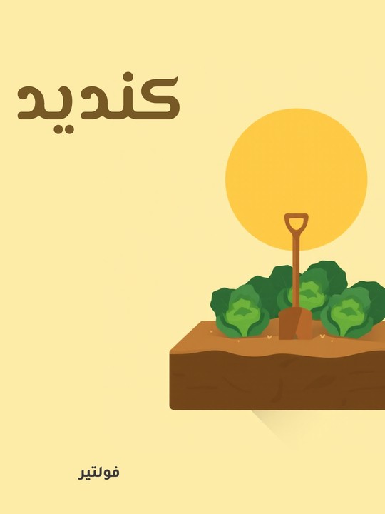 غلاف كتاب كنديد
